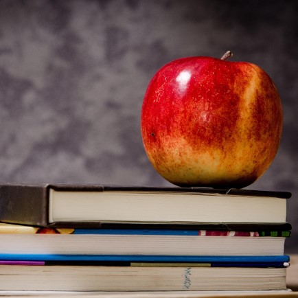 shiney red apple on stack of three school books.