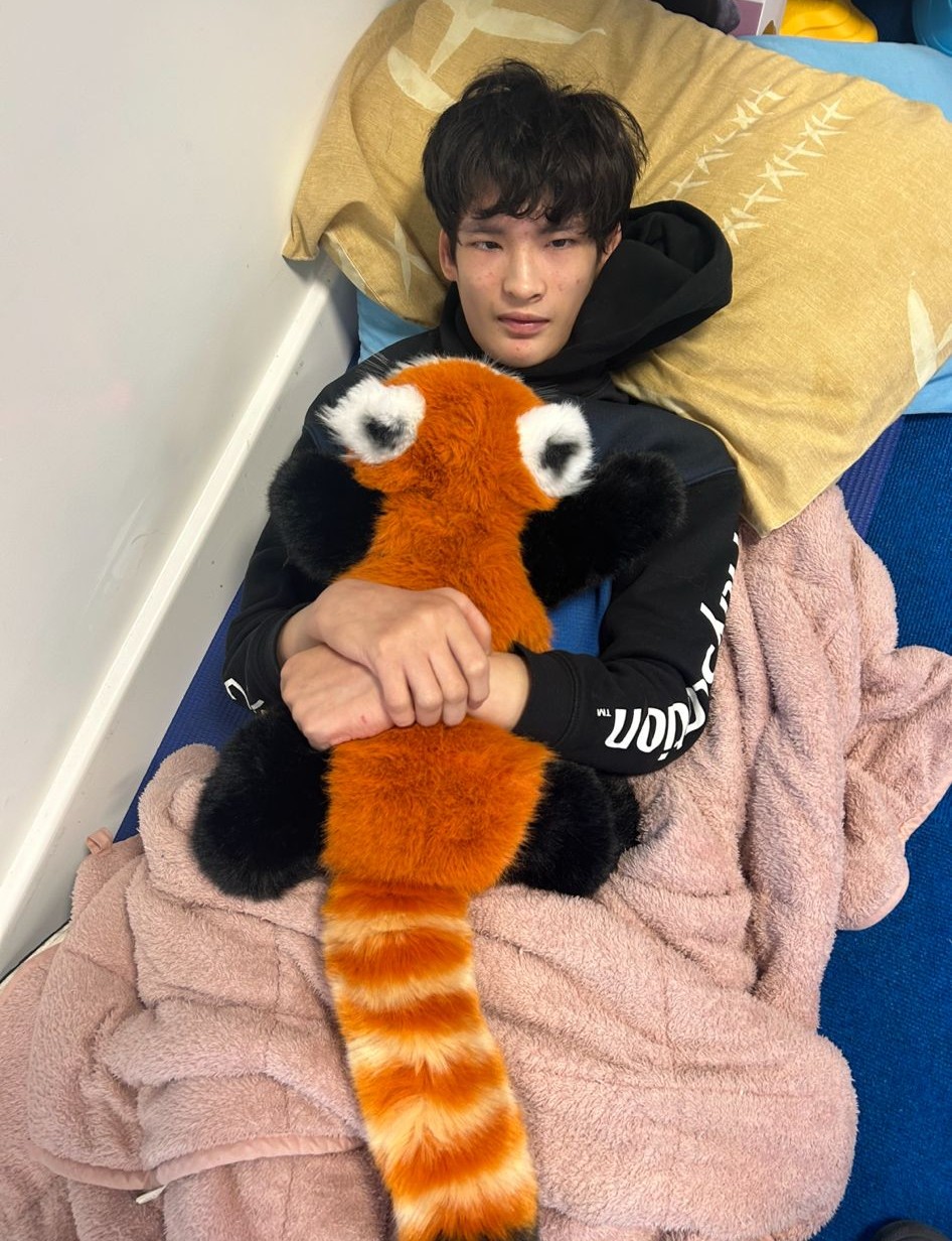 photograph of a young man with dark hair wearing a dark blue hoody reclining with his head on a pillow and a pink blanket over him. He is holding a cuddly red panda to his chest.