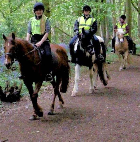 Children riding on horses through Belfairs Woods whilst wearing hi-vis jackets
