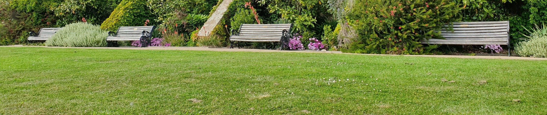 A row of benches on some grass in a Southend park.
