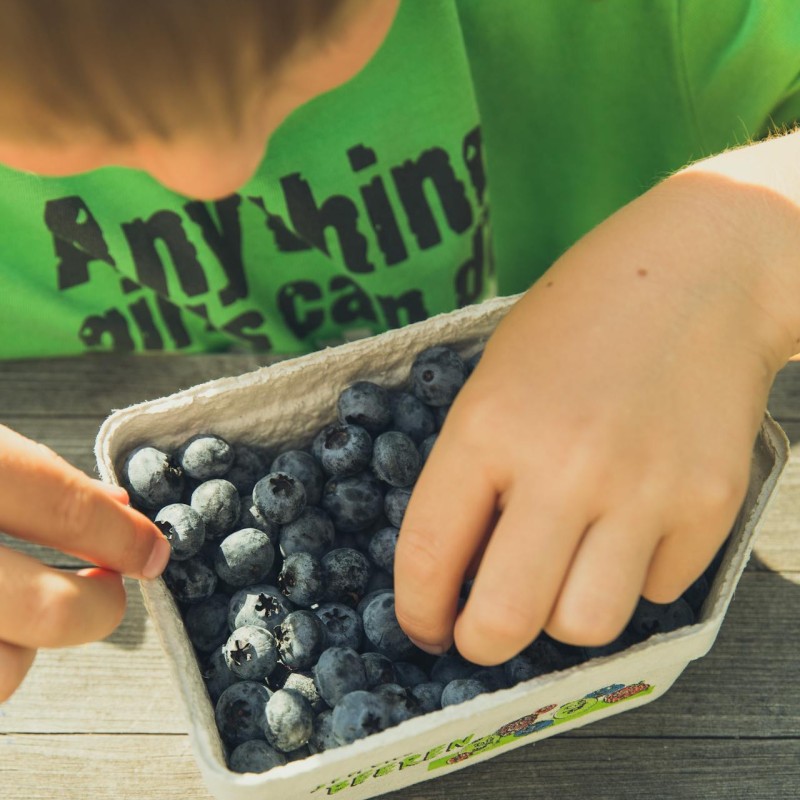 child eating blueberries